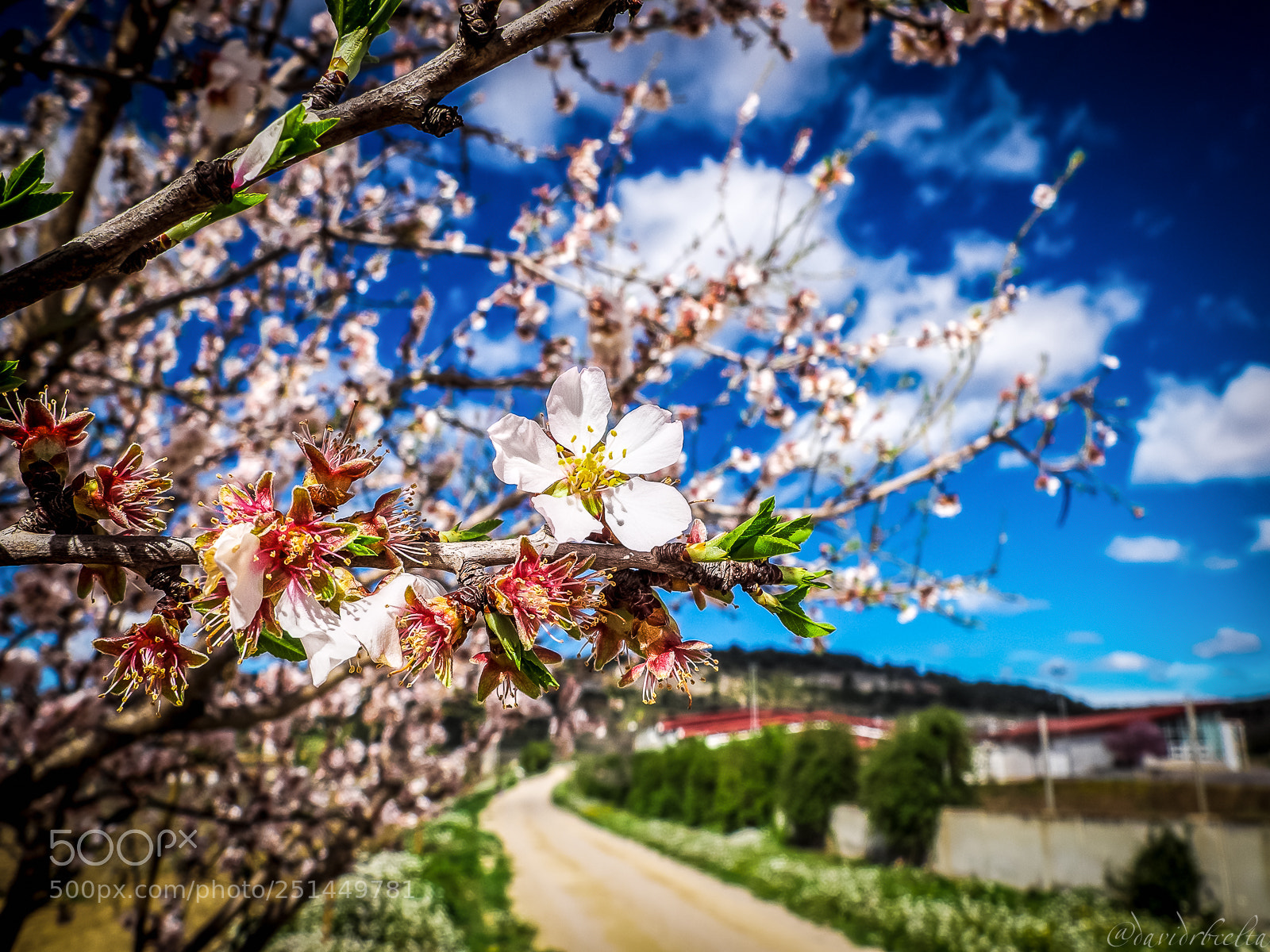 Fujifilm X30 sample photo. Ja es primavera al photography