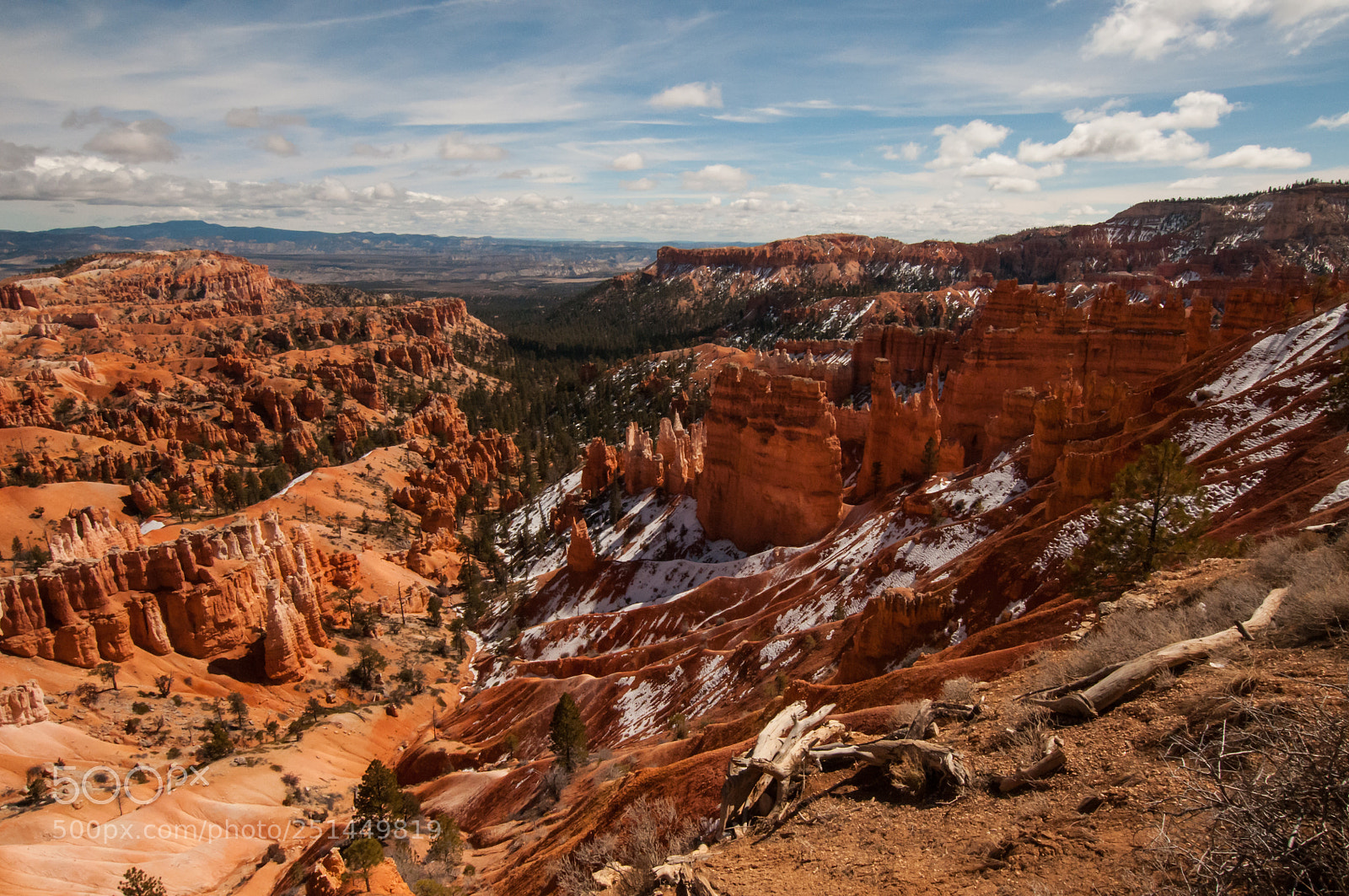 Nikon D300 sample photo. Bryce canyon viewpoint photography