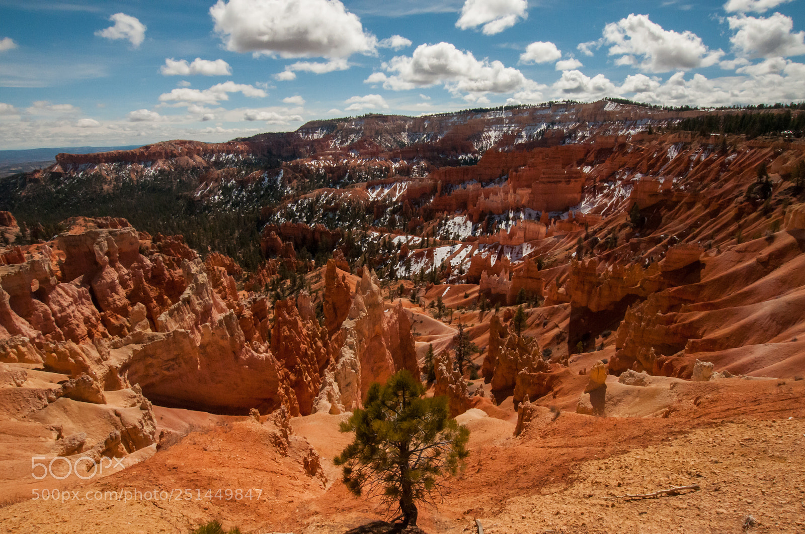 Nikon D300 sample photo. Expanse photography