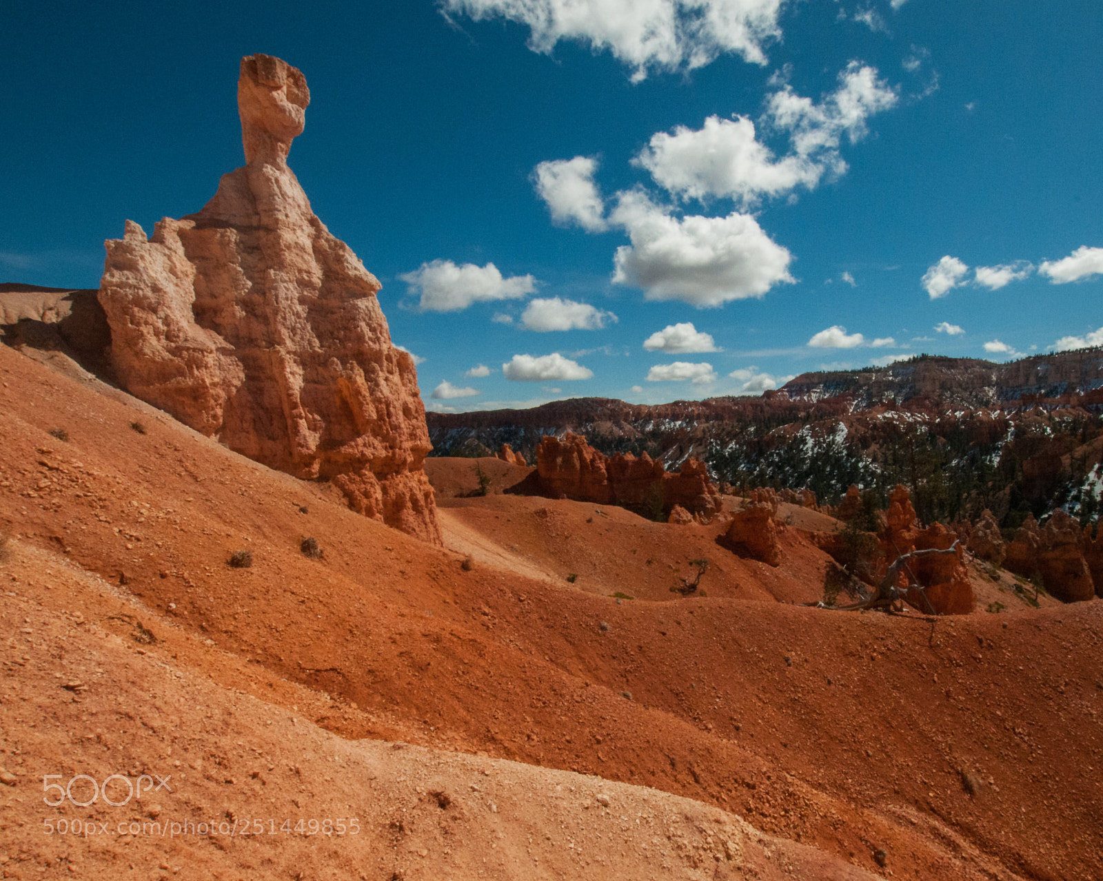 Nikon D300 sample photo. Hoodoo? you do. photography
