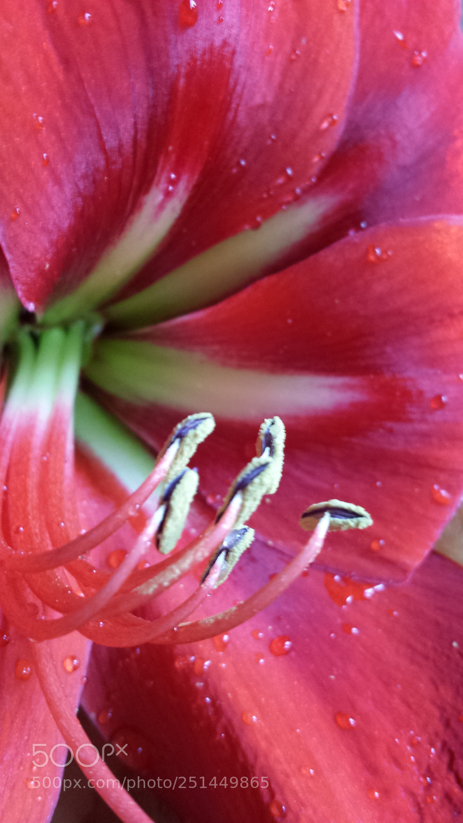Samsung Galaxy S4 sample photo. Untitled photography