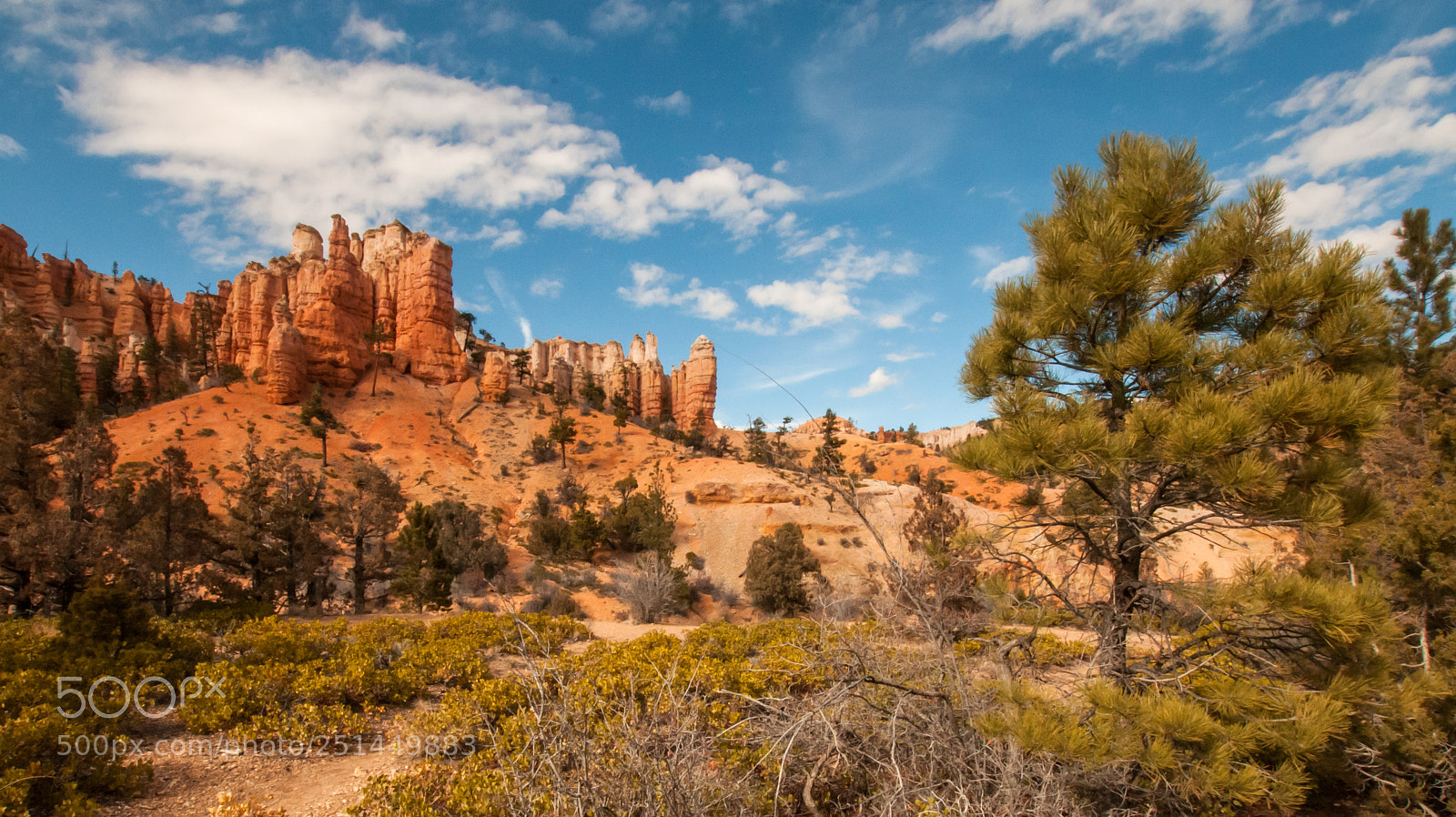 Nikon D300 sample photo. Bryce canyon floor photography