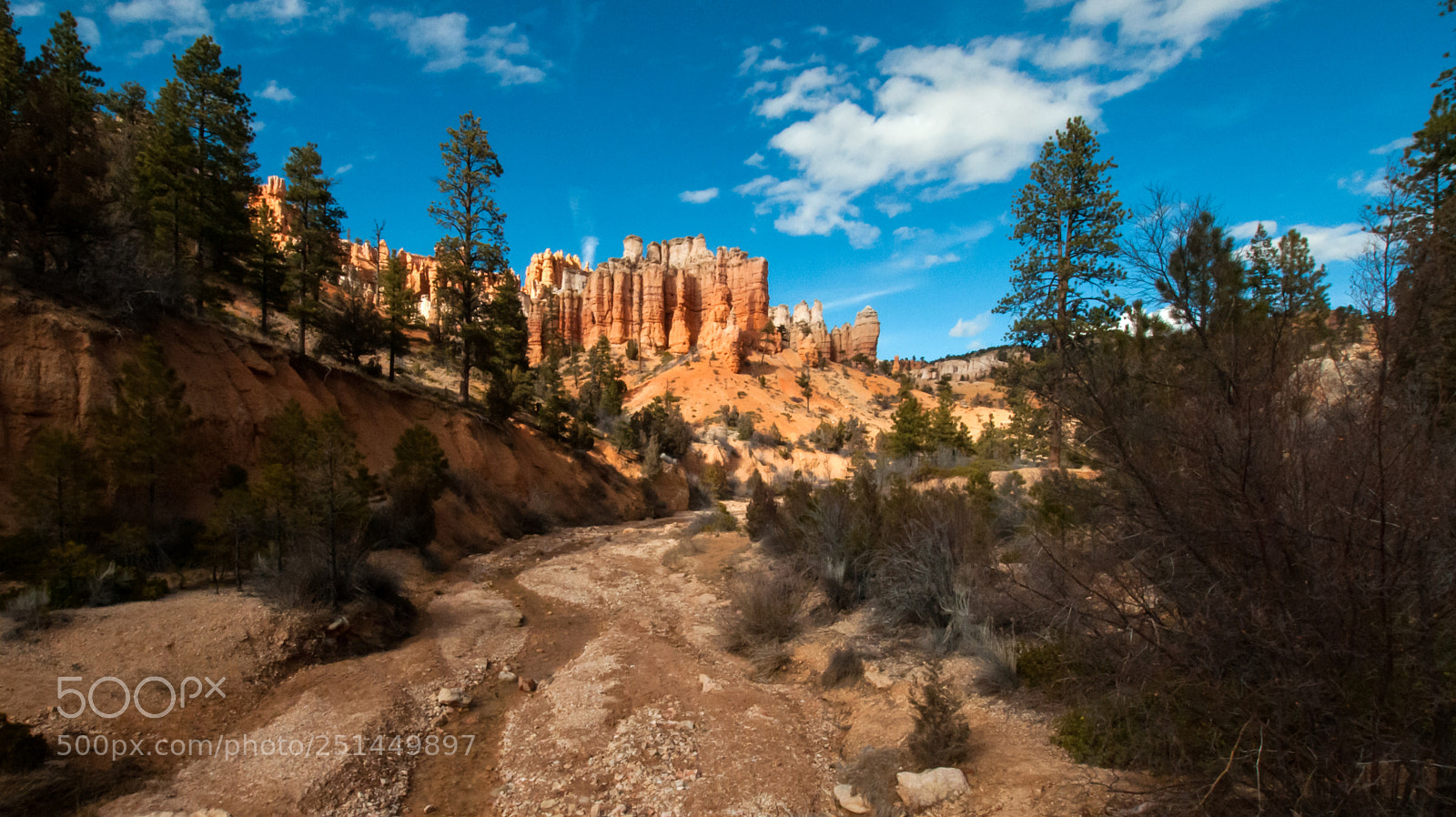 Nikon D300 sample photo. Bryce canyon wash photography