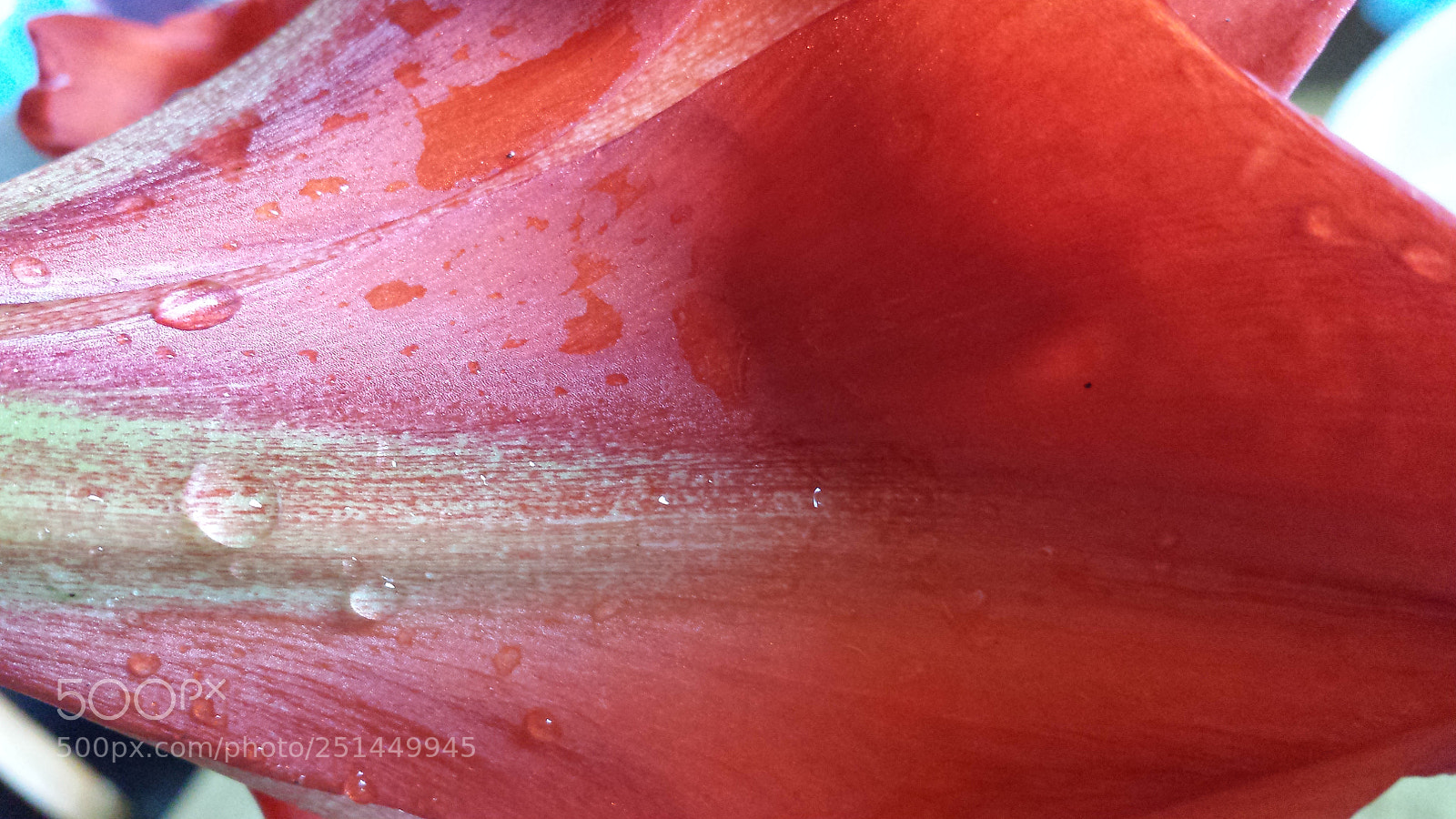 Samsung Galaxy S4 sample photo. Untitled photography