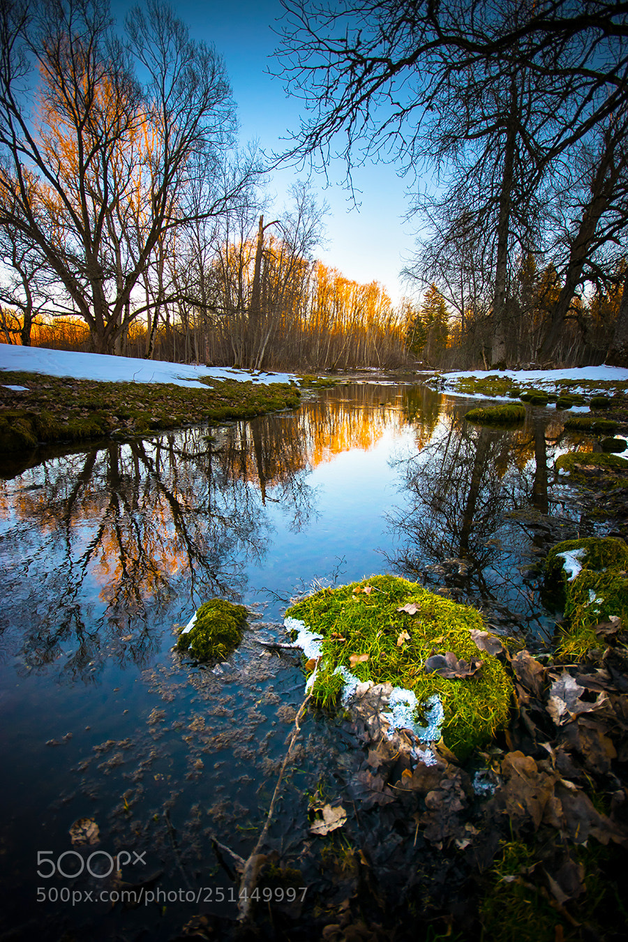 Nikon D3300 sample photo. Natural reflection photography