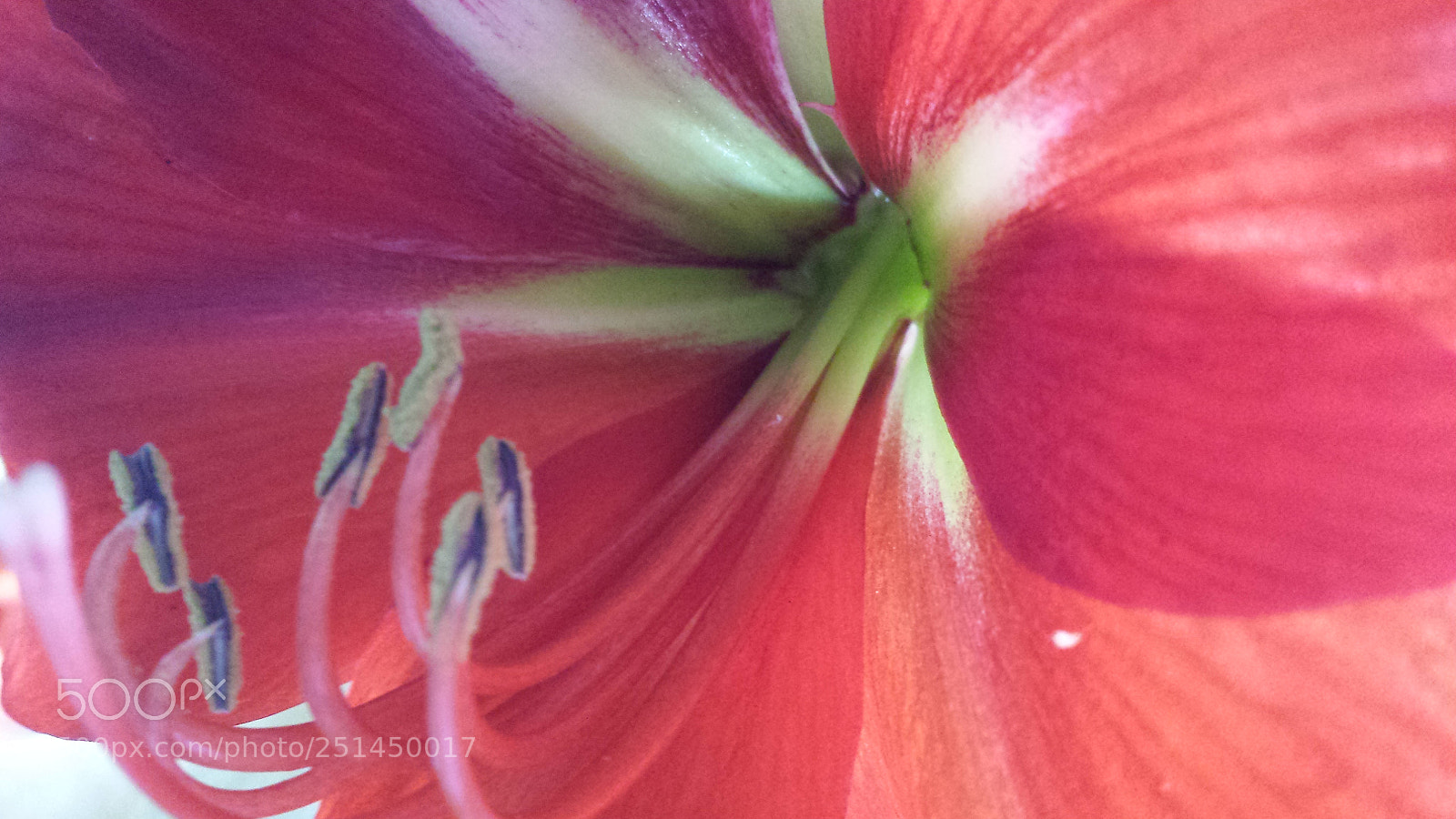 Samsung Galaxy S4 sample photo. Untitled photography