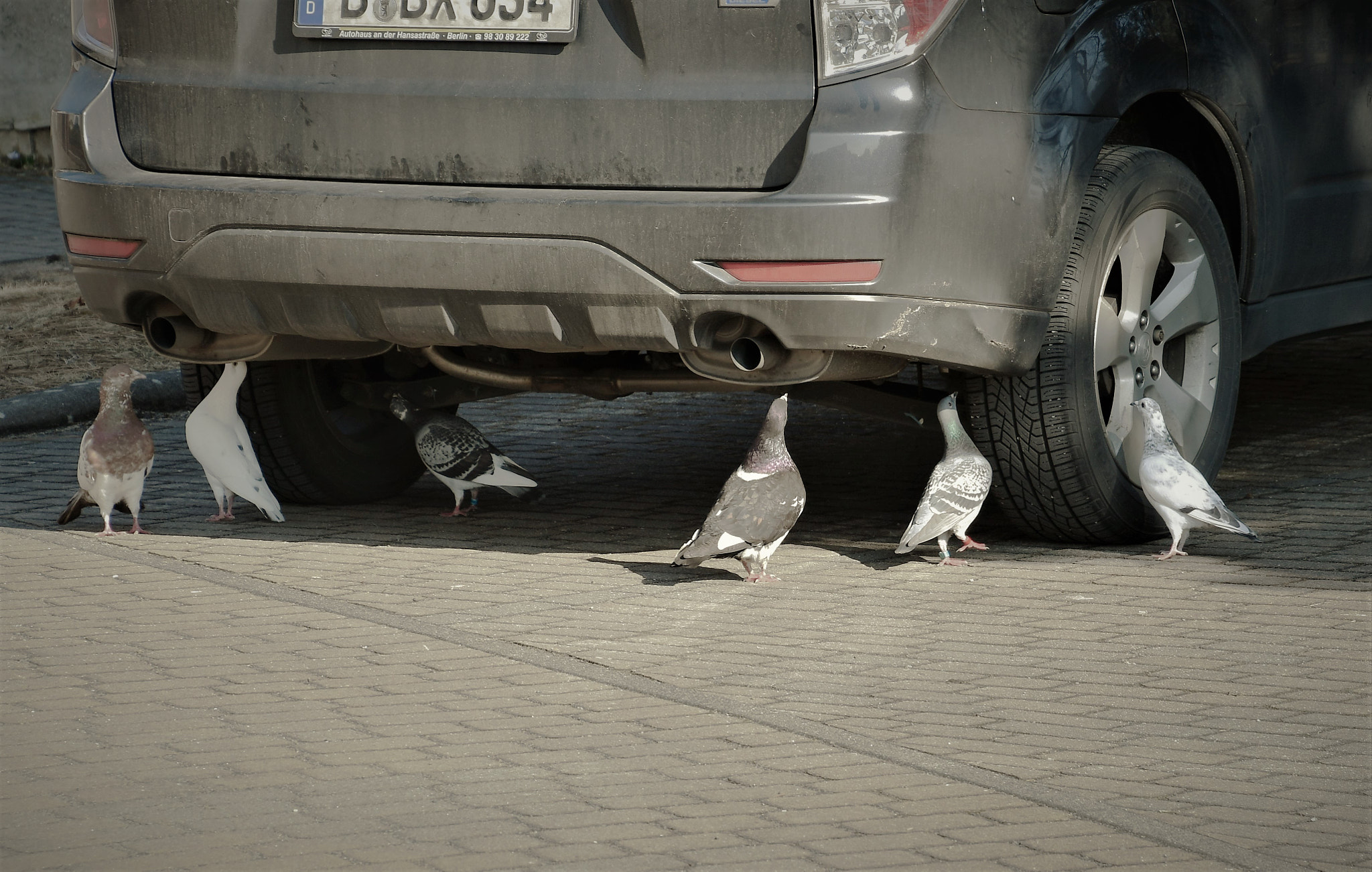 Nikon D500 sample photo. Inspection photography