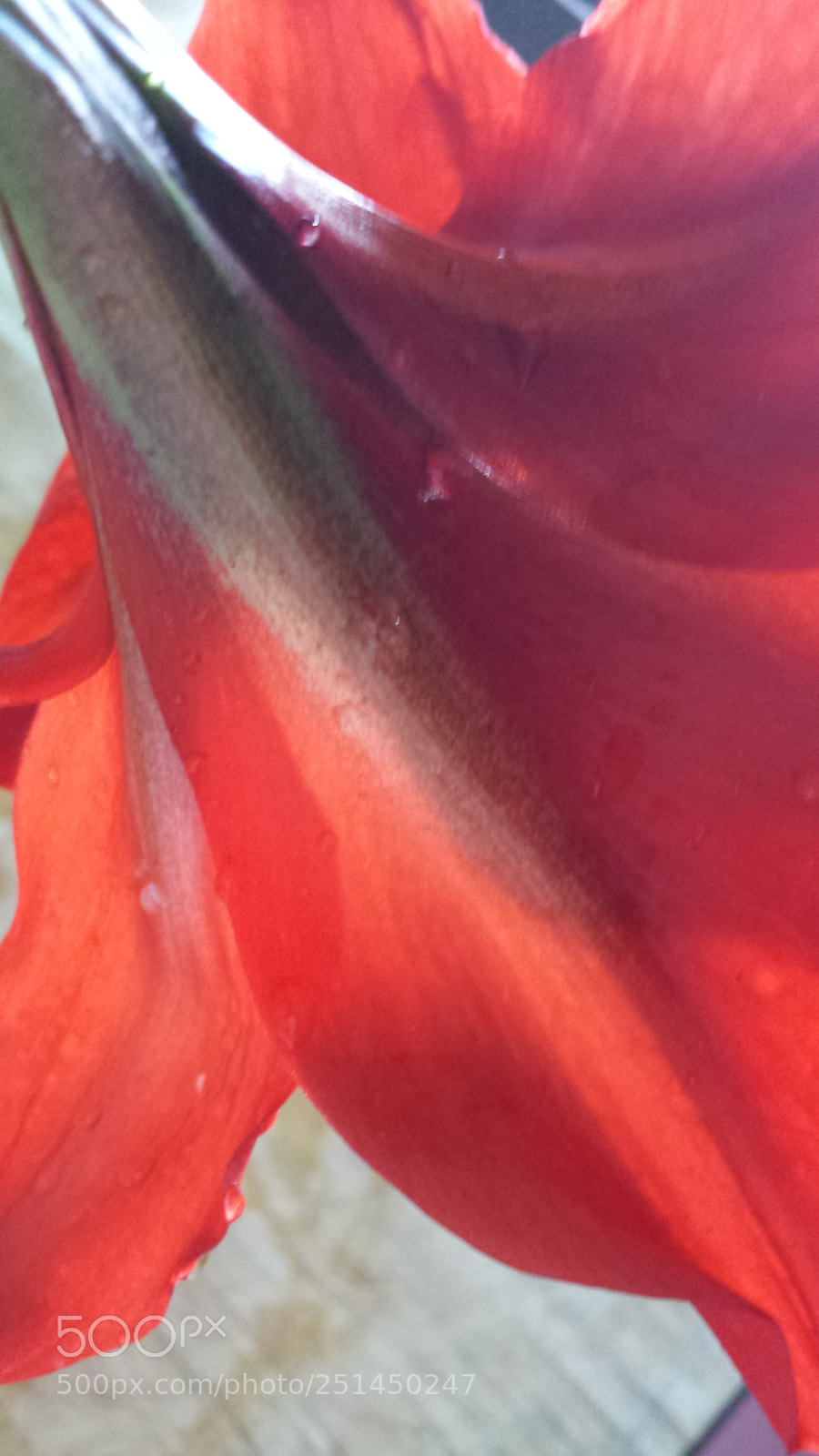 Samsung Galaxy S4 sample photo. Untitled photography