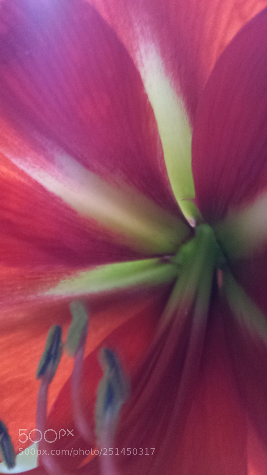 Samsung Galaxy S4 sample photo. Untitled photography