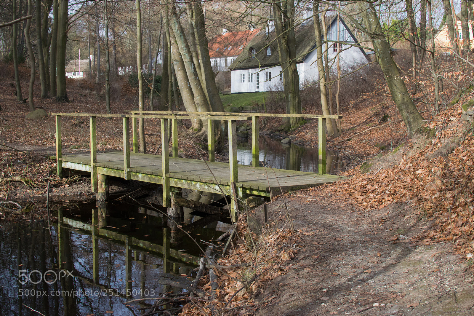 Nikon D3300 sample photo. Waiting for spring... photography