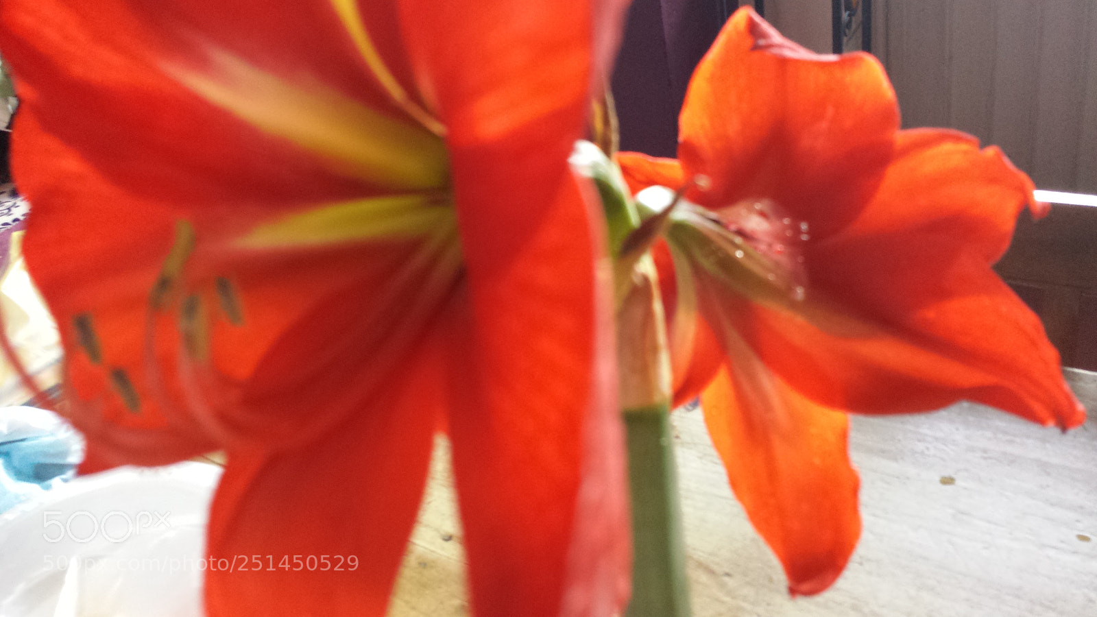 Samsung Galaxy S4 sample photo. Untitled photography