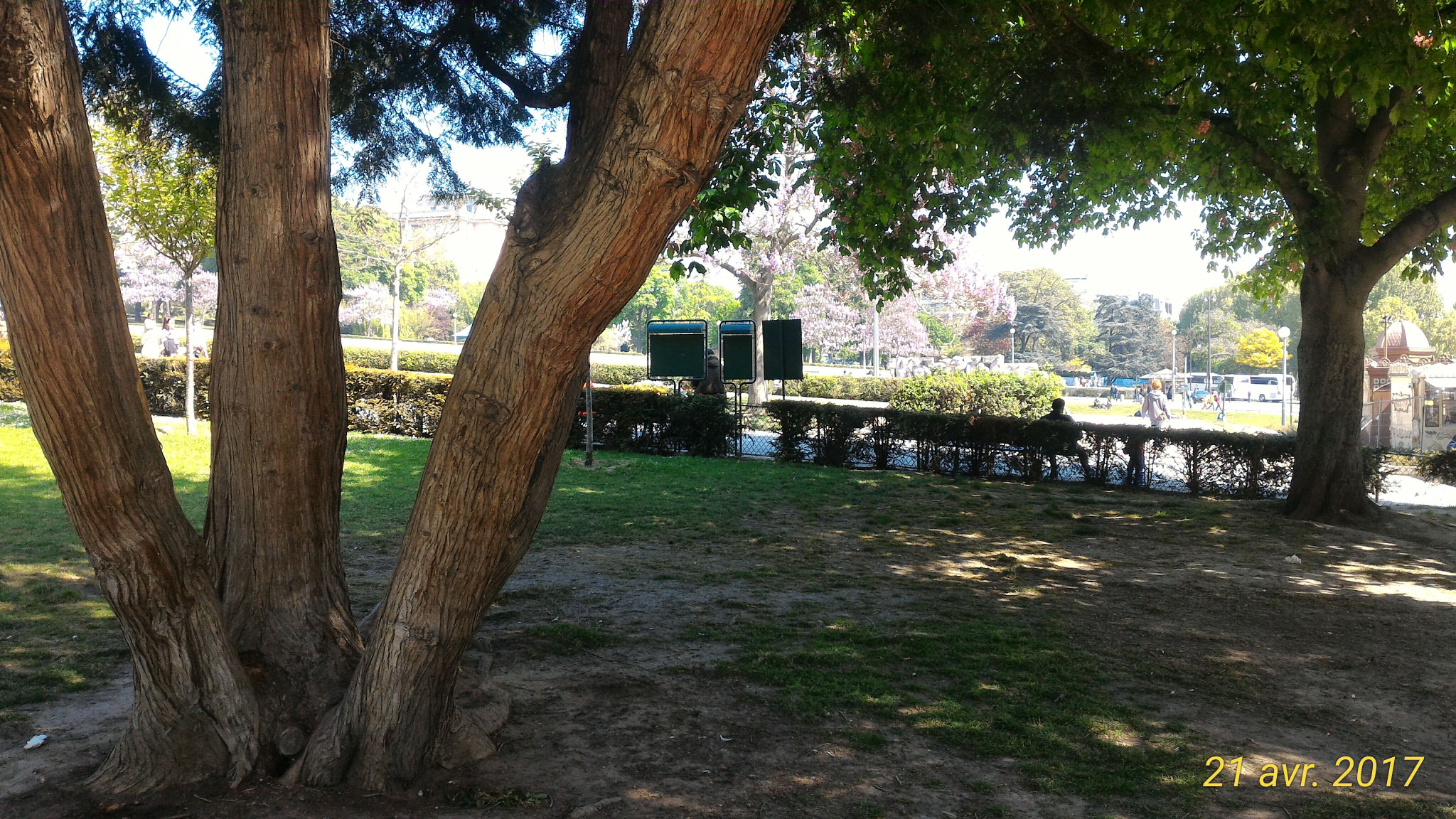 ASUS ZenFone 2 (ZE551ML) sample photo