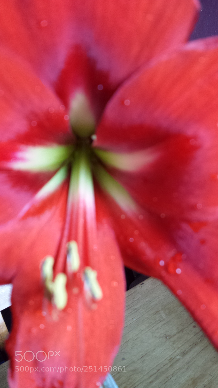 Samsung Galaxy S4 sample photo. Untitled photography
