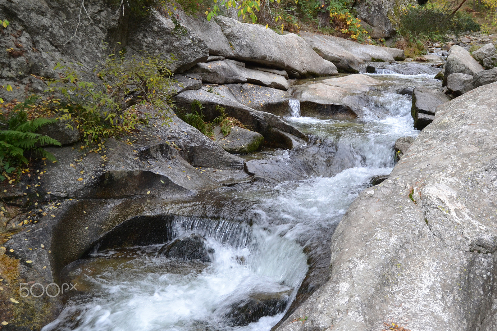 Nikon D3100 sample photo. Arroyo con agua photography