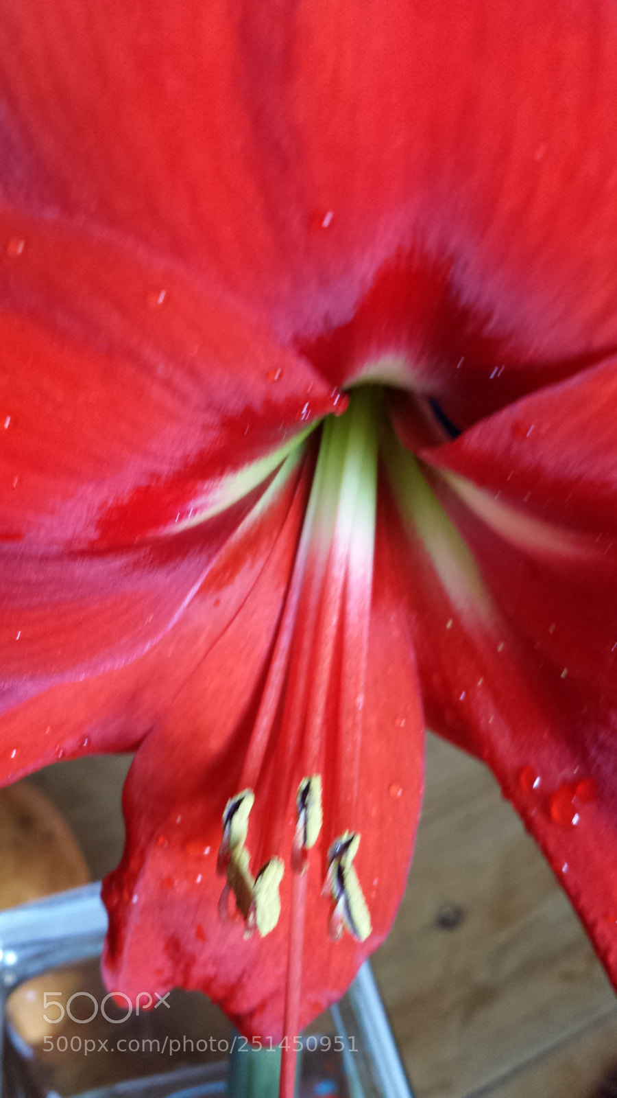 Samsung Galaxy S4 sample photo. Untitled photography