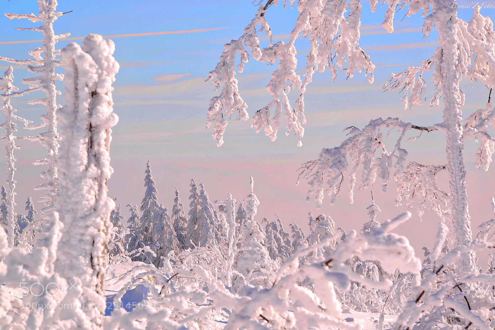 Nikon D800 sample photo. Mountain dreams photography