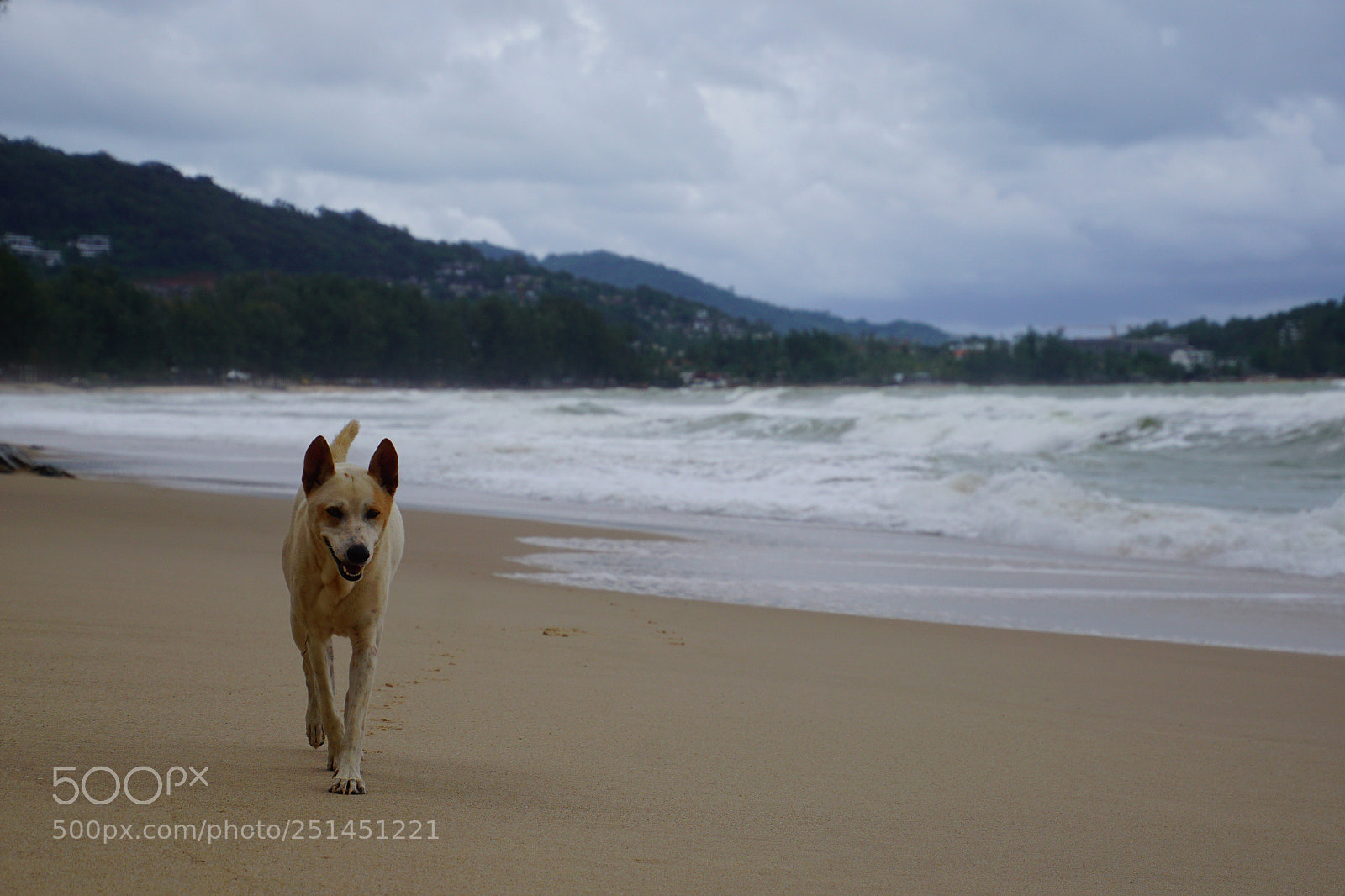 Sony ILCA-77M2 sample photo. Untitled photography