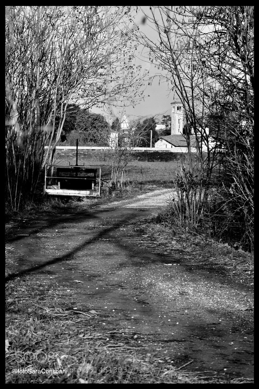 Nikon D7200 sample photo. Strada di campagna photography