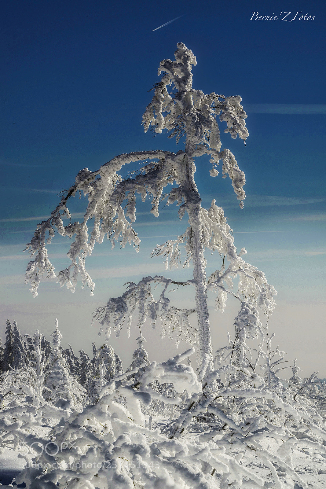 Nikon D800 sample photo. Apocalypse snow photography