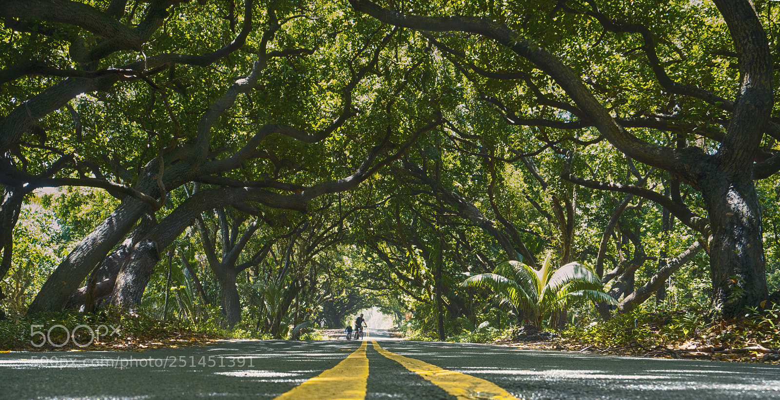 Sony a7R II sample photo. Cycling the red road photography