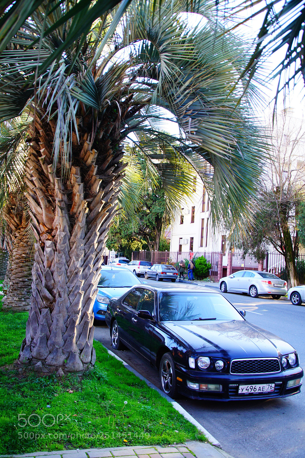 Sony ILCA-77M2 sample photo. Untitled photography