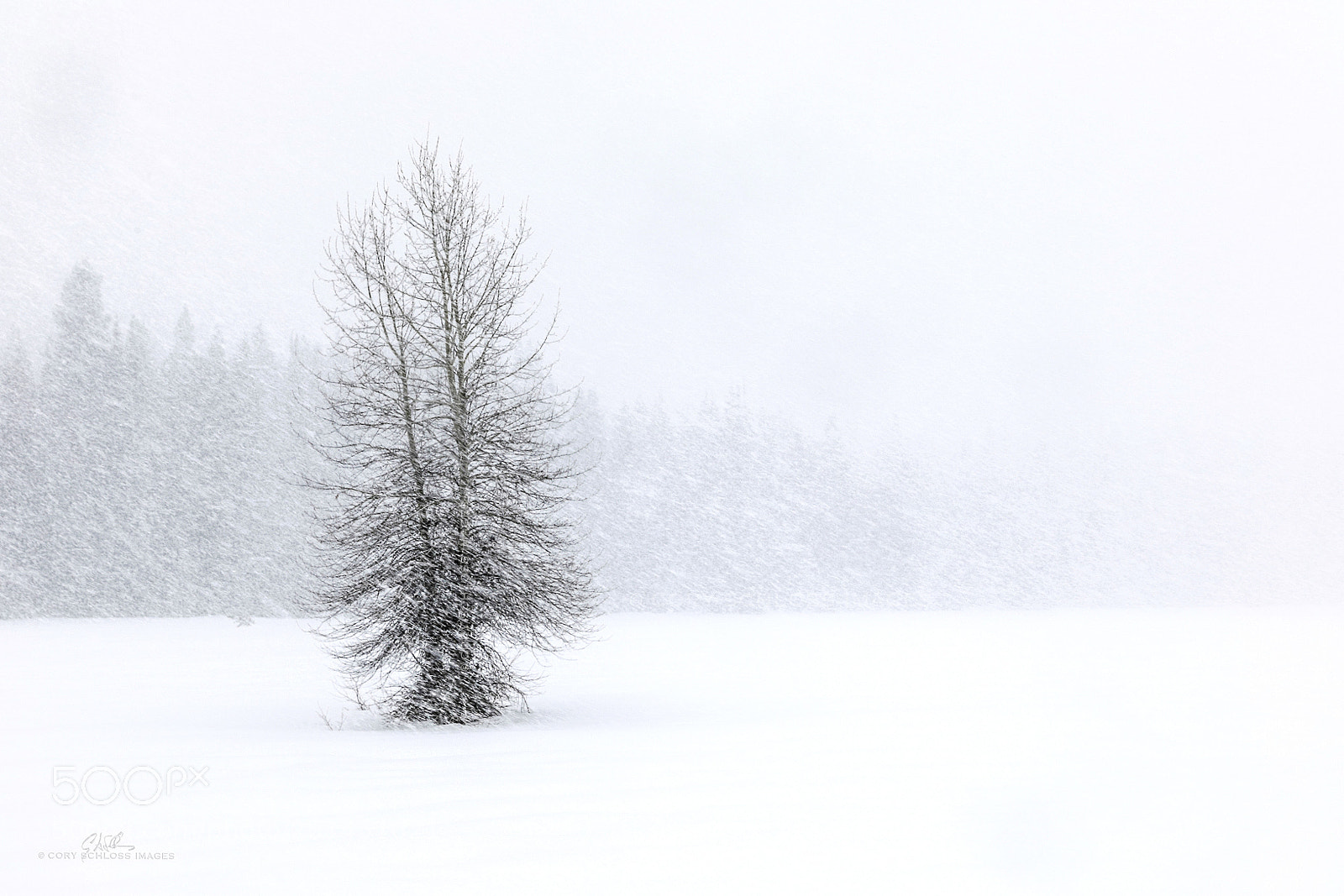 Canon EOS 5D Mark IV sample photo. Beautiful solitude photography