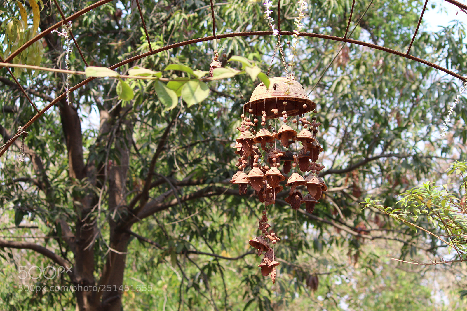 Canon EF-S 55-250mm F4-5.6 IS II sample photo. Img photography