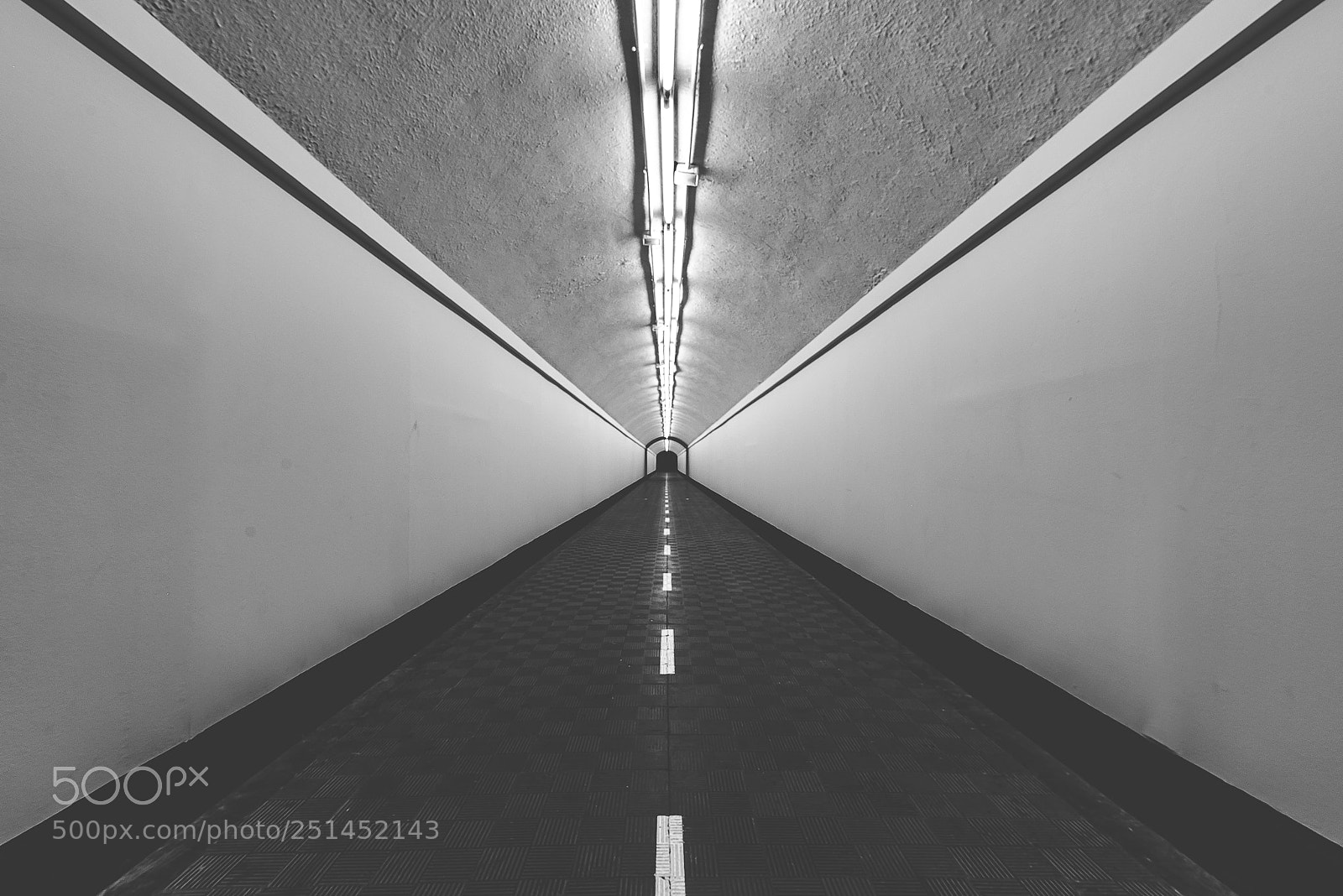 Nikon D610 sample photo. A path to somewhere.... photography