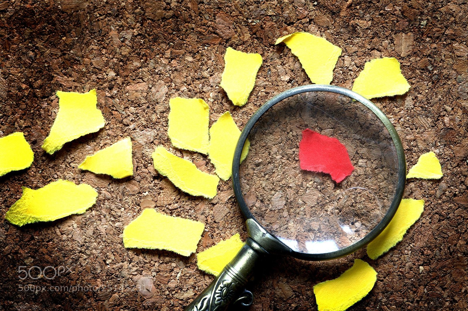 Canon EOS 5D sample photo. Magnifying glass and paper photography