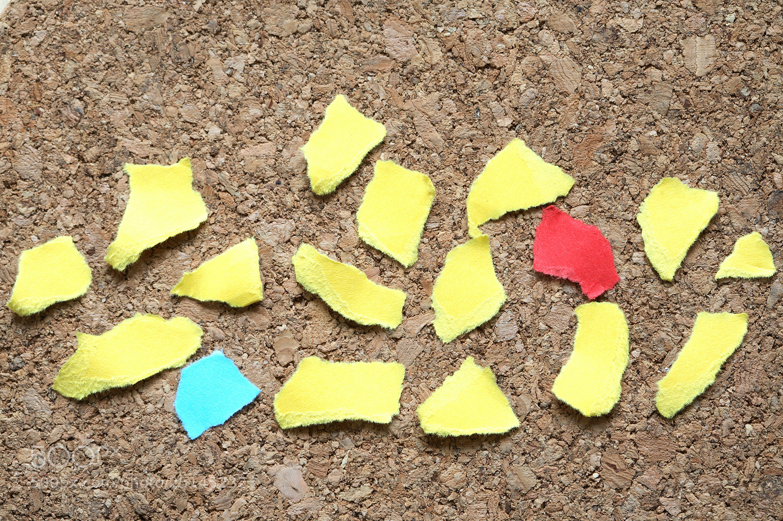 Canon EOS 5D sample photo. Diversity paper concept photography