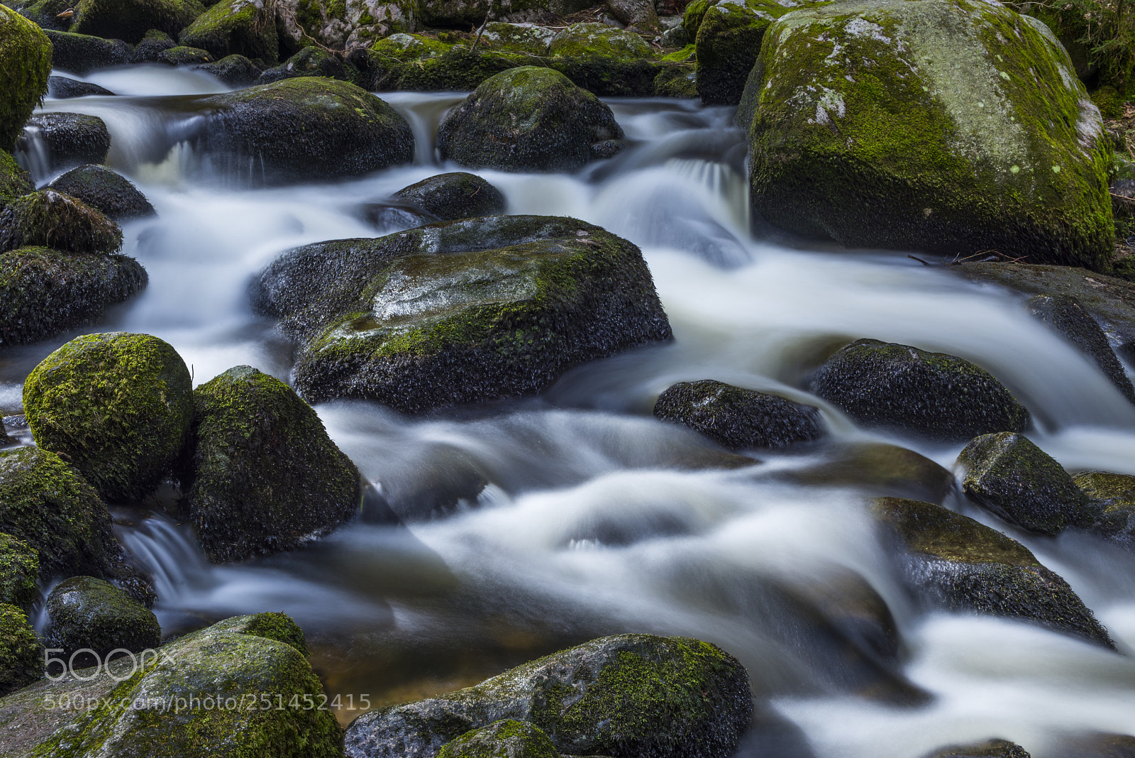Nikon D610 sample photo. Triberg 4 photography
