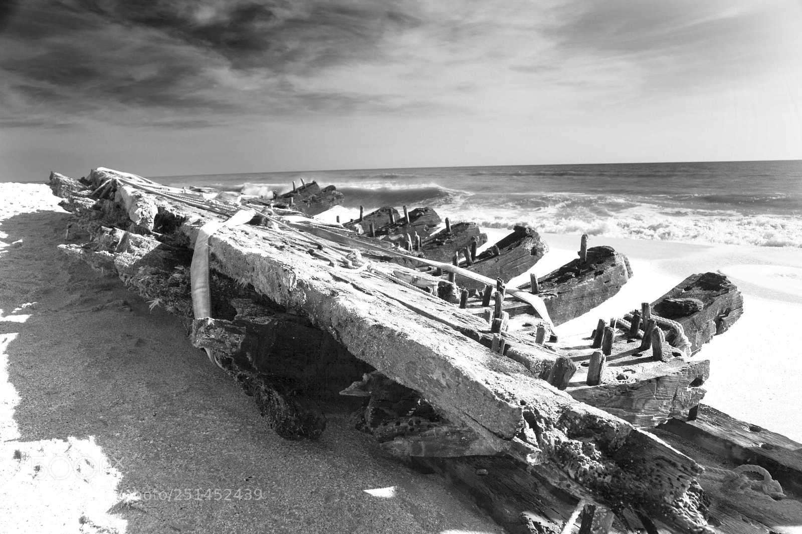 Canon EOS 5D Mark II sample photo. Washed ashore photography