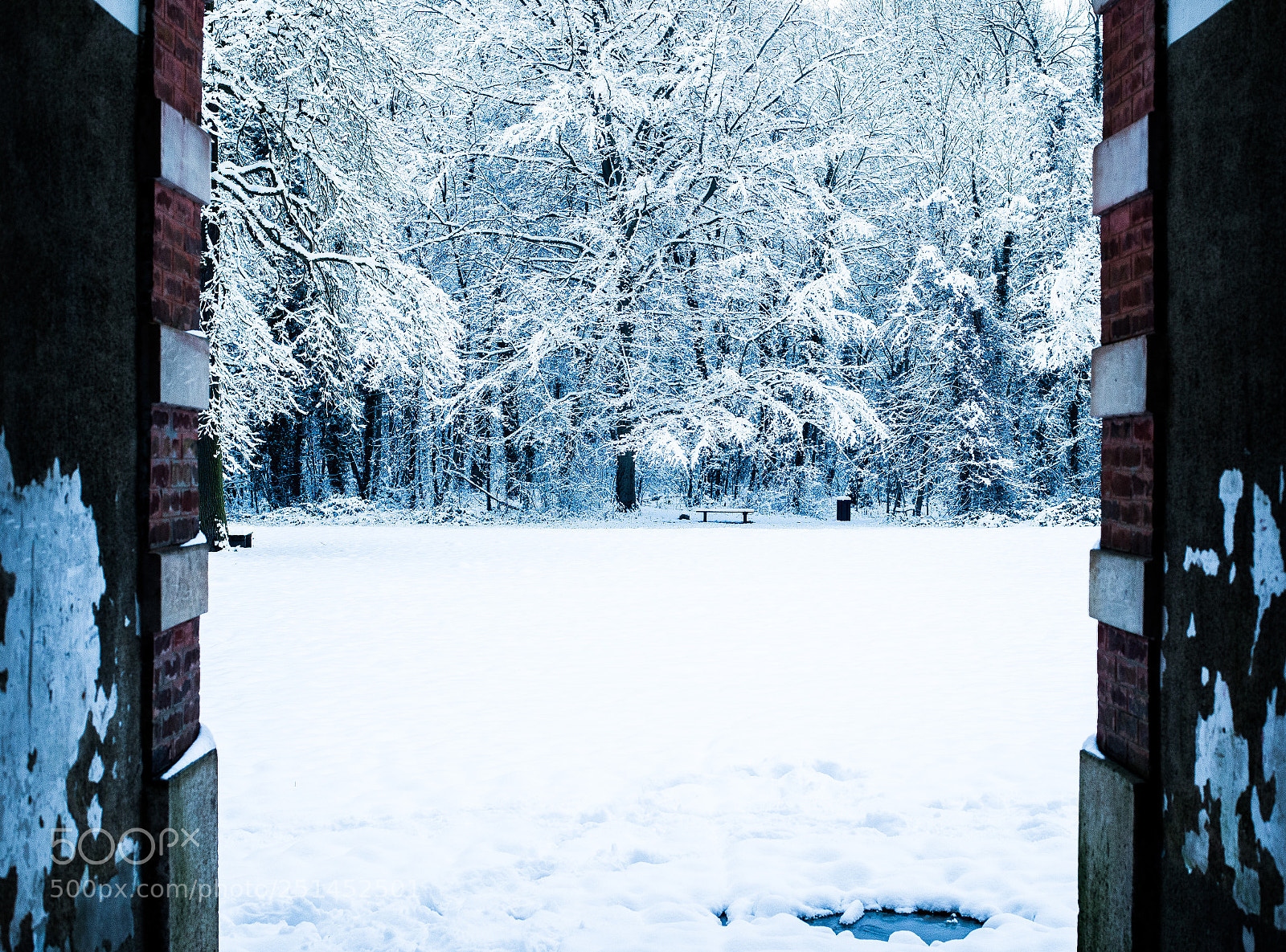 Nikon D610 sample photo. Come in  photography