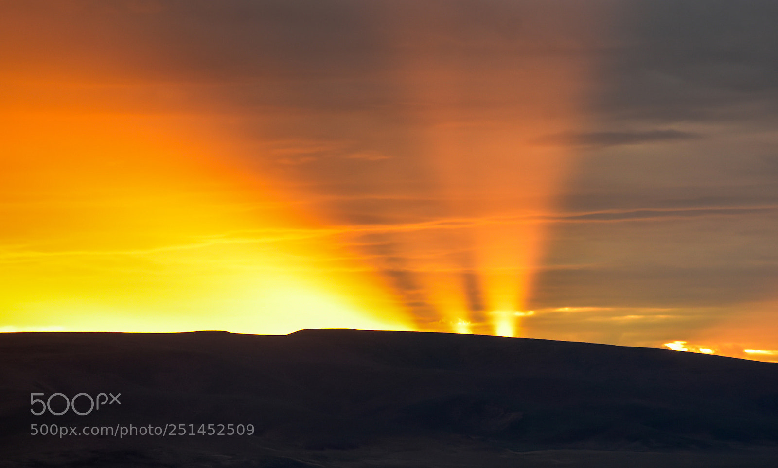 Nikon D7200 sample photo. Shooting rays of a photography