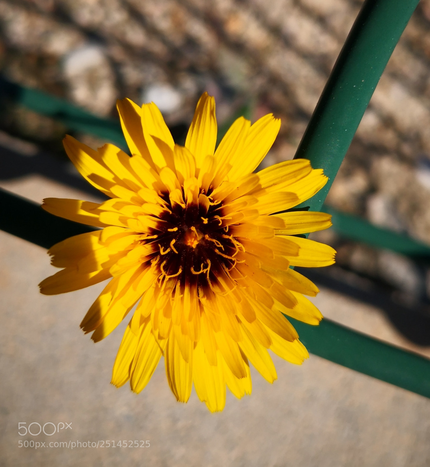 HUAWEI Mate 10 sample photo. Untitled photography