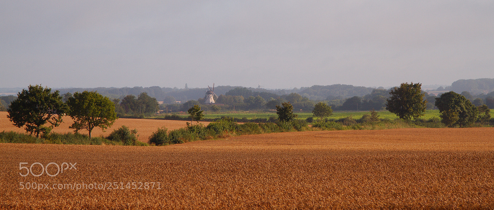 Canon EOS 7D sample photo. Autumn morning photography