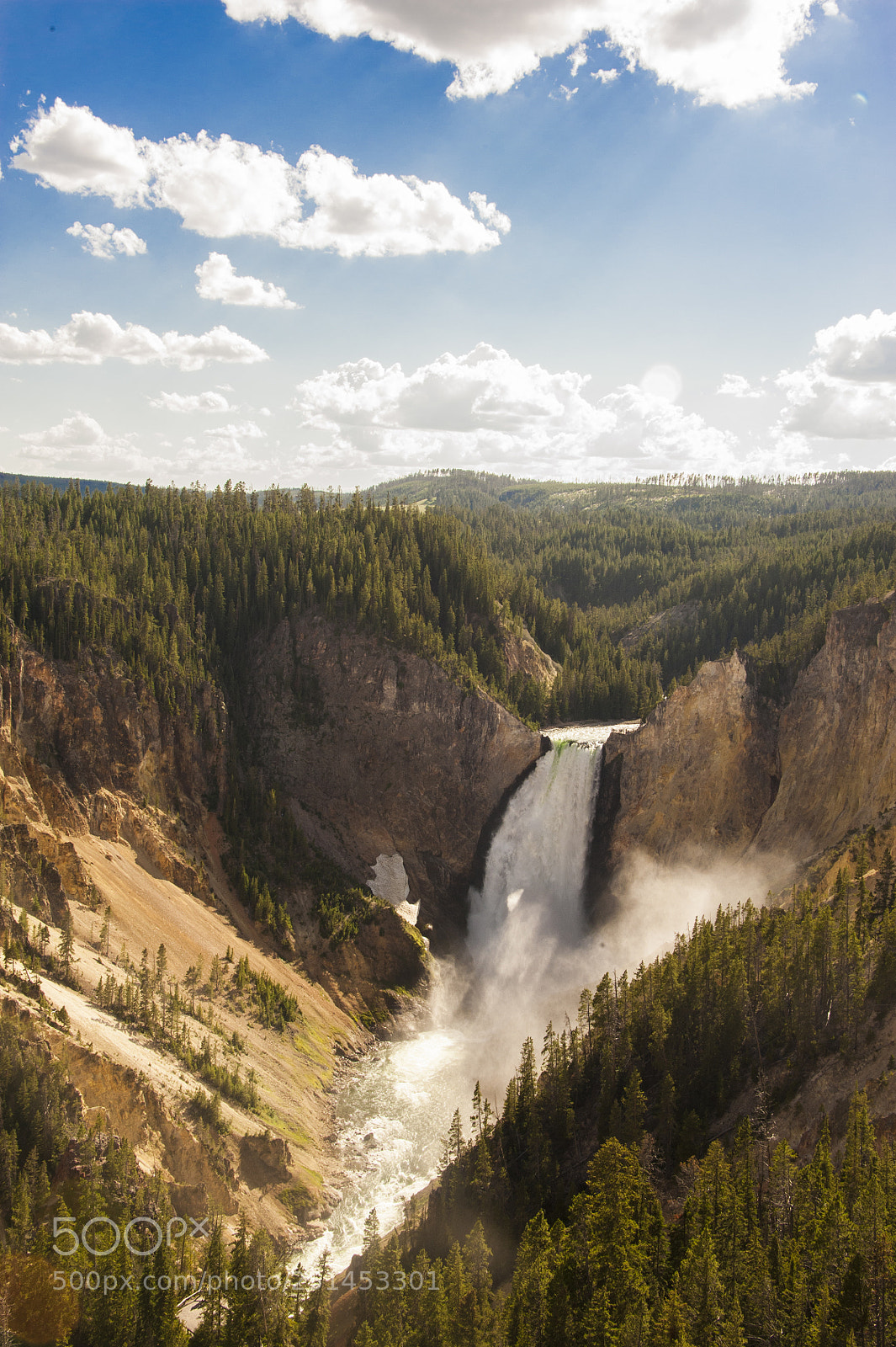 Nikon D700 sample photo. Lower yellowstone falls, yellowstone photography