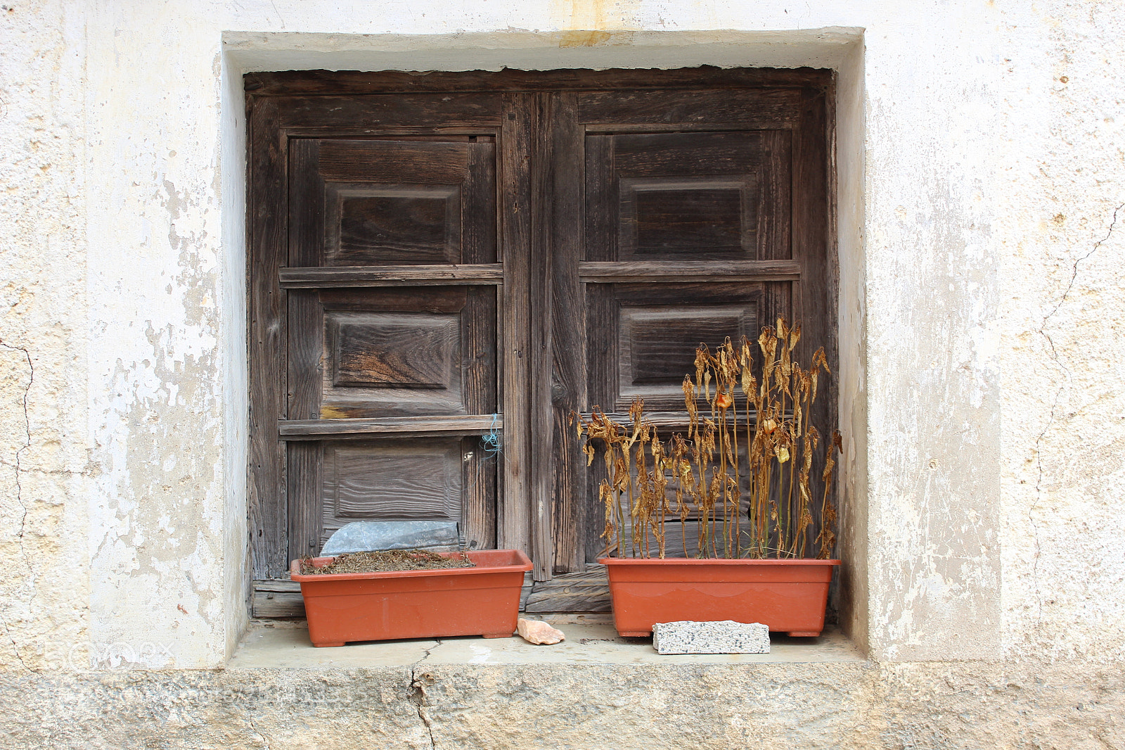 Canon EOS 1300D (EOS Rebel T6 / EOS Kiss X80) sample photo. Ventana con flores secas photography