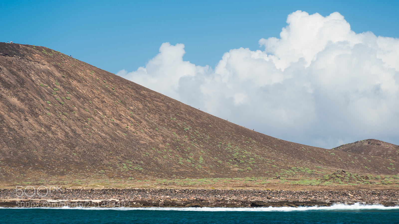 Nikon D800 sample photo. Approaching lobos photography