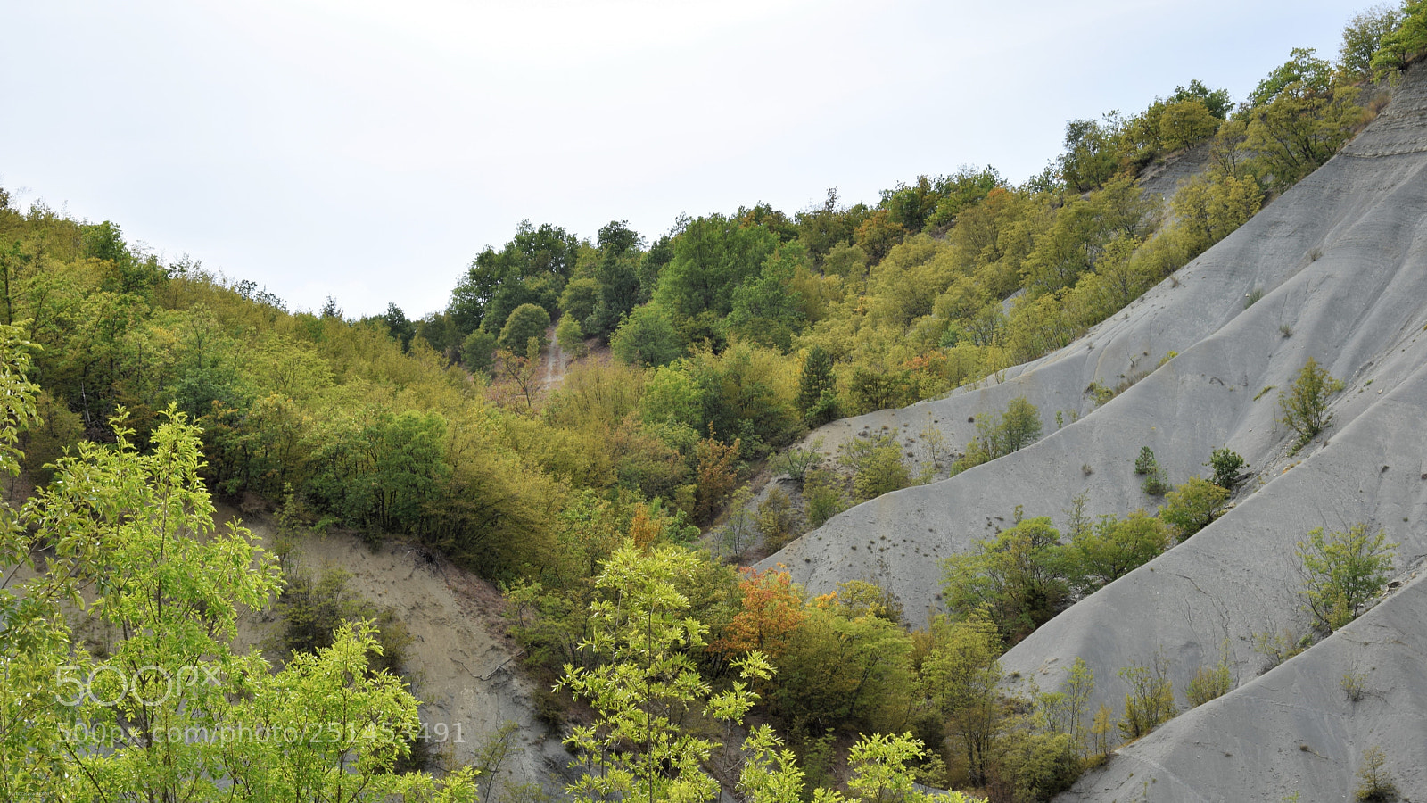 Nikon D3300 sample photo. Badlands with green trees photography