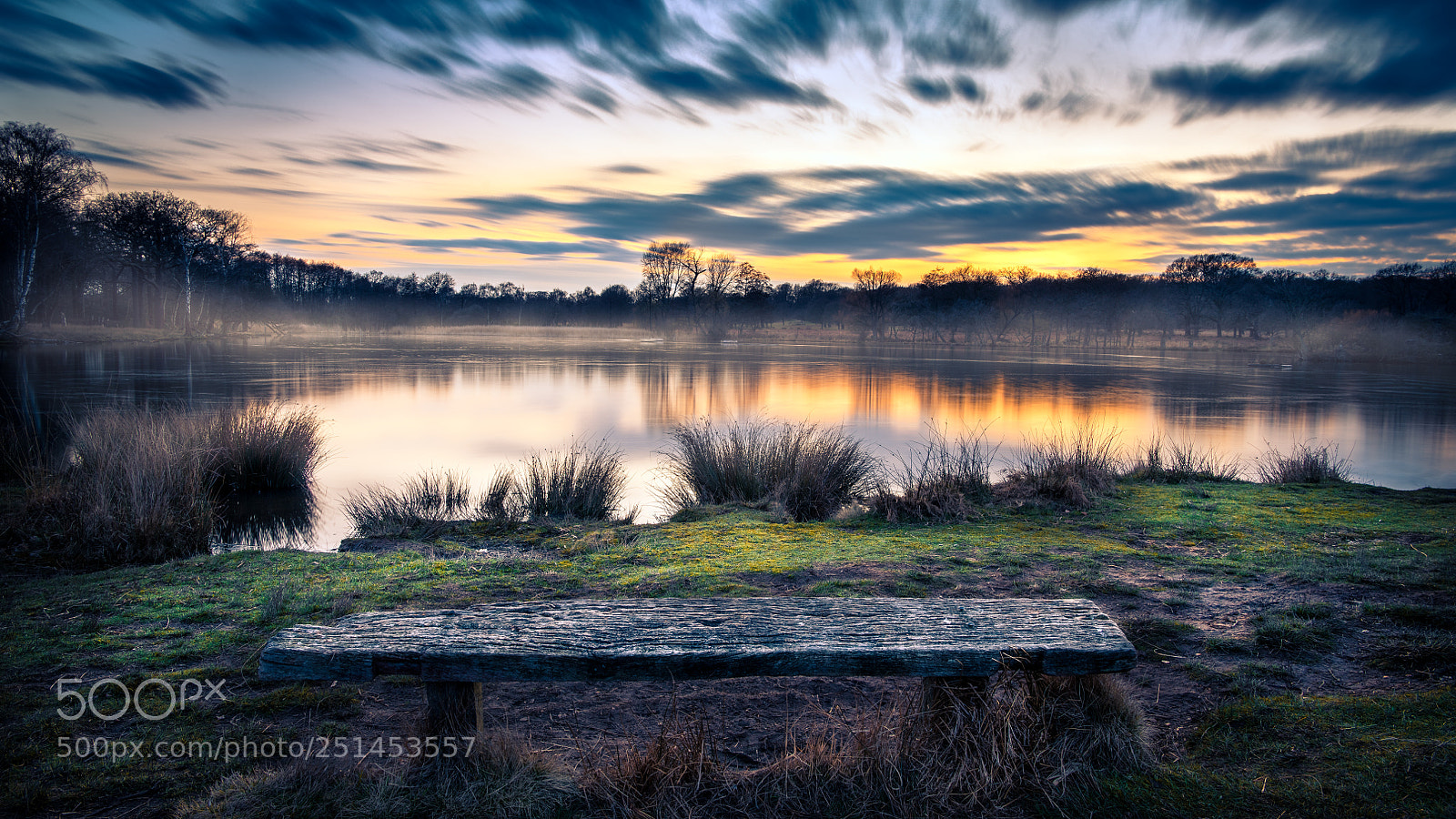 Nikon D850 sample photo. Sunset over richmond park photography
