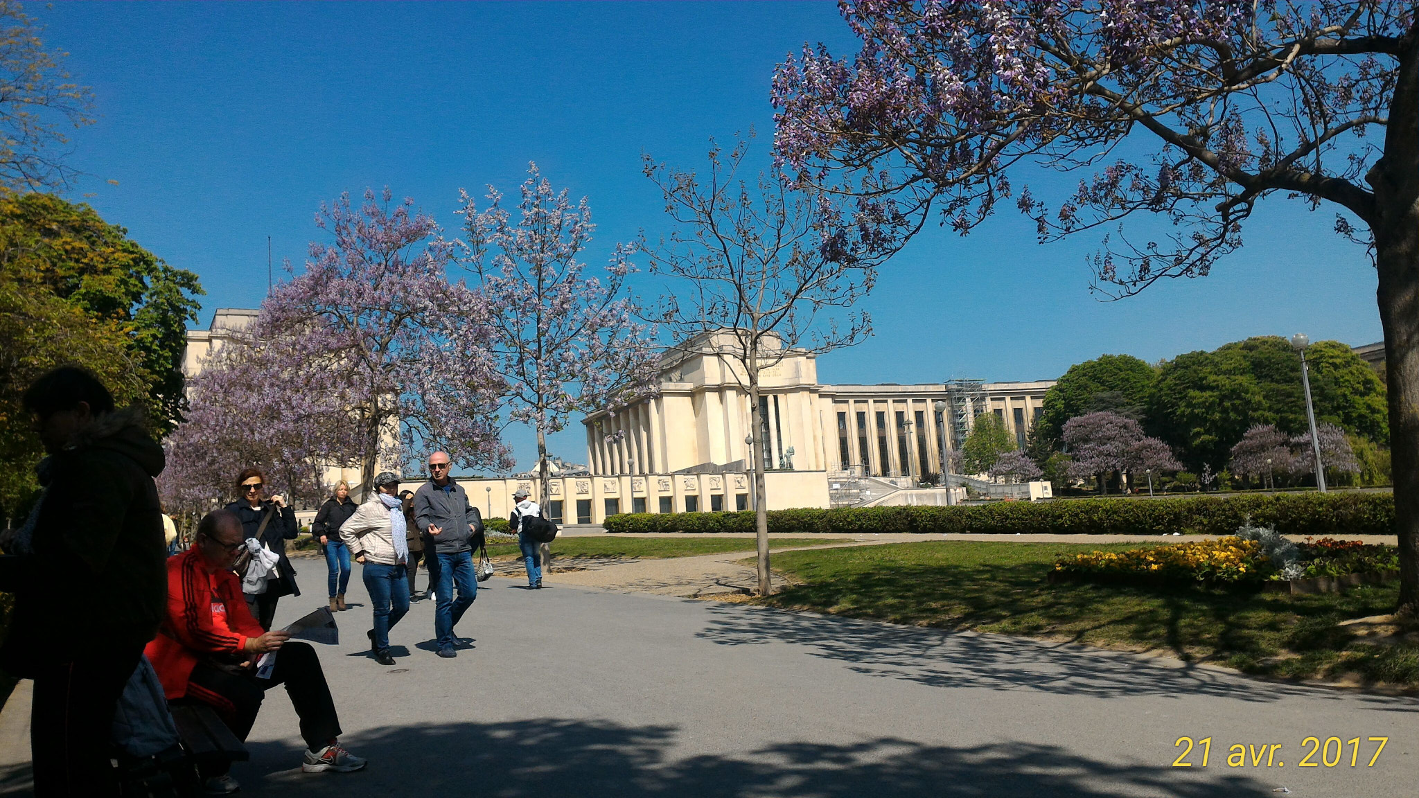 ASUS ZenFone 2 (ZE551ML) sample photo
