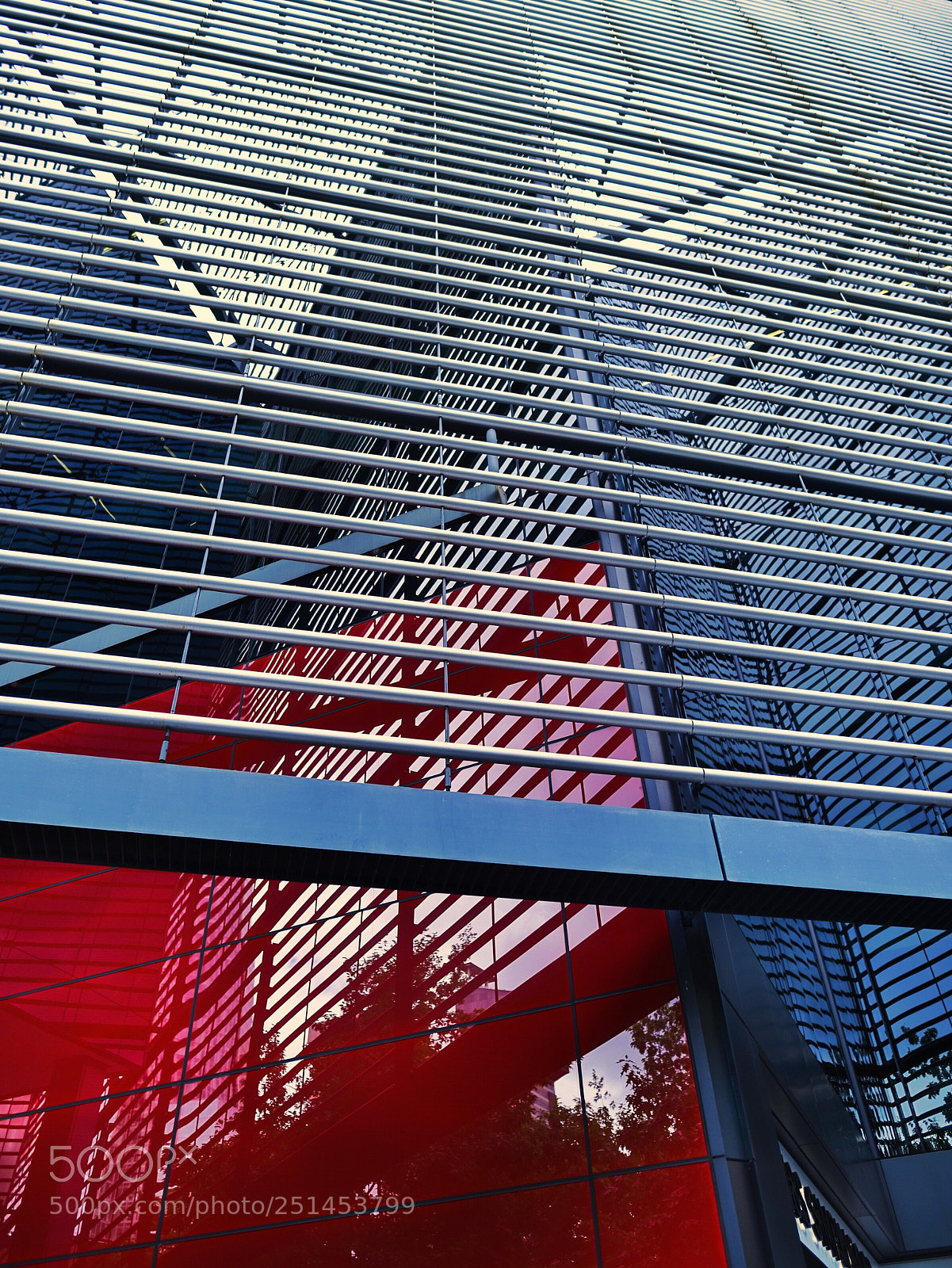 Nikon D810 sample photo. British colors photography