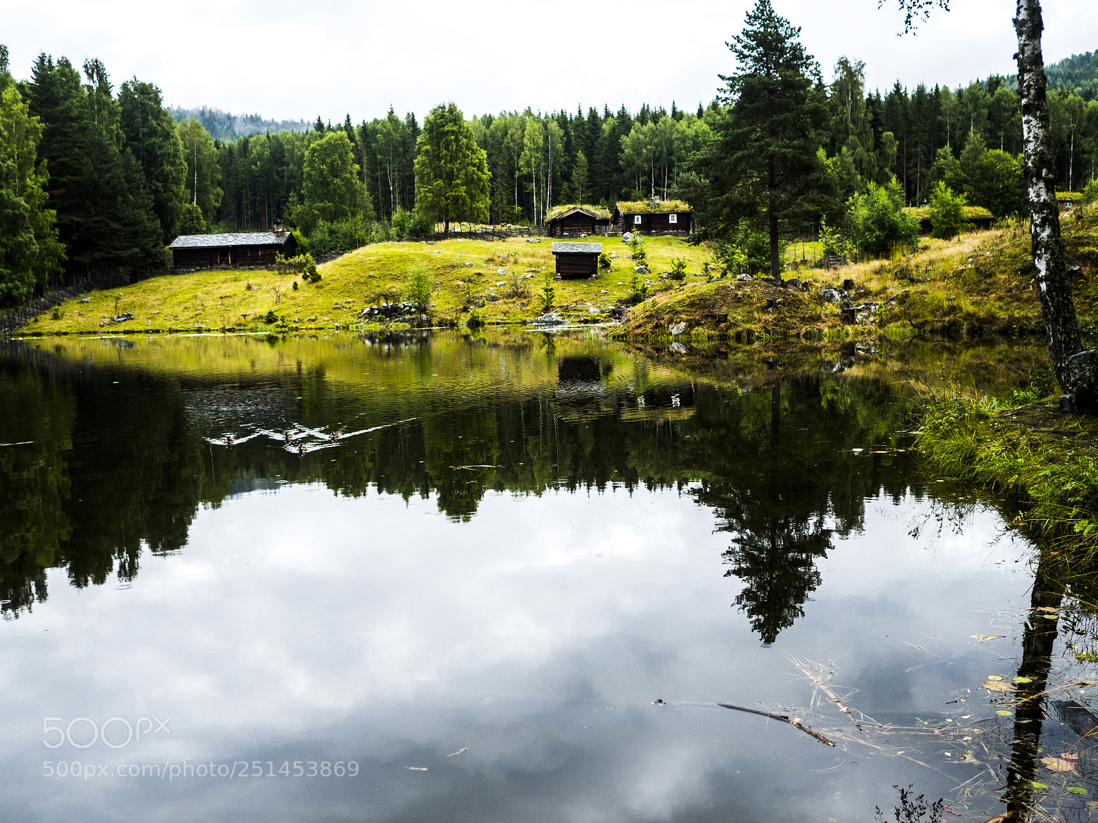Olympus OM-D E-M10 sample photo. Maihaugen lake photography
