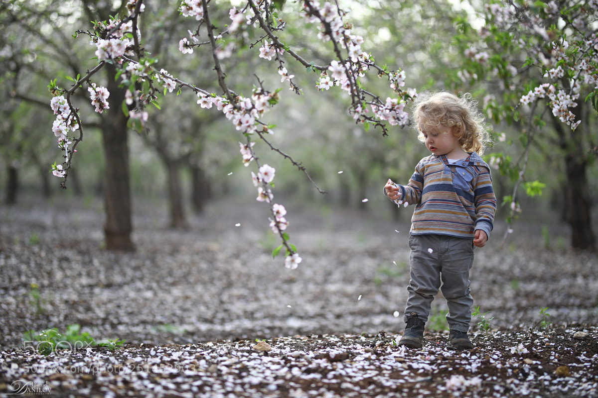 Canon EOS 5D Mark IV sample photo. Almond blossom photography