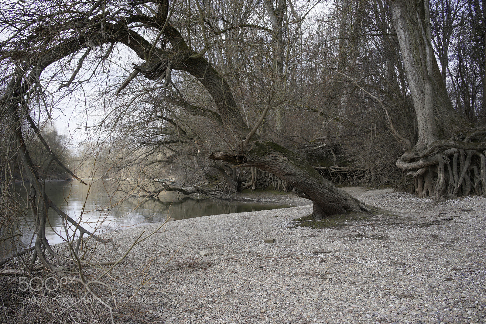 Sony a7 sample photo. Altrhein photography