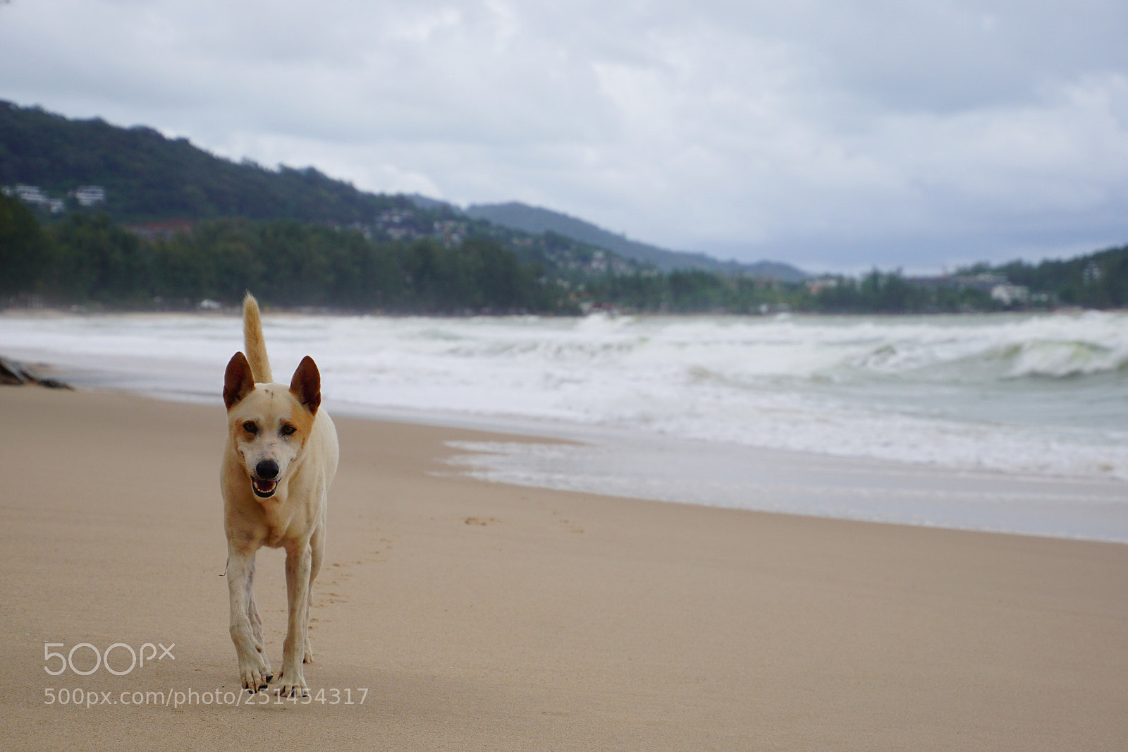Sony ILCA-77M2 sample photo. Untitled photography