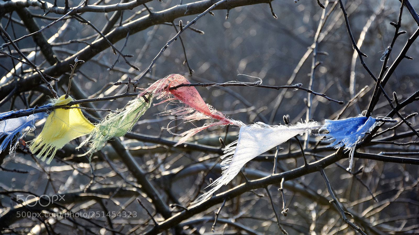 Nikon D3300 sample photo. My little tibet photography