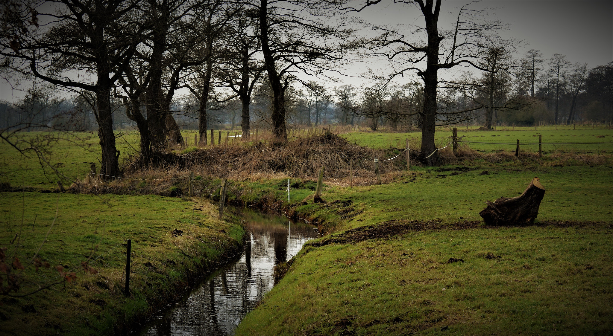 Nikon D5100 sample photo. By the water photography