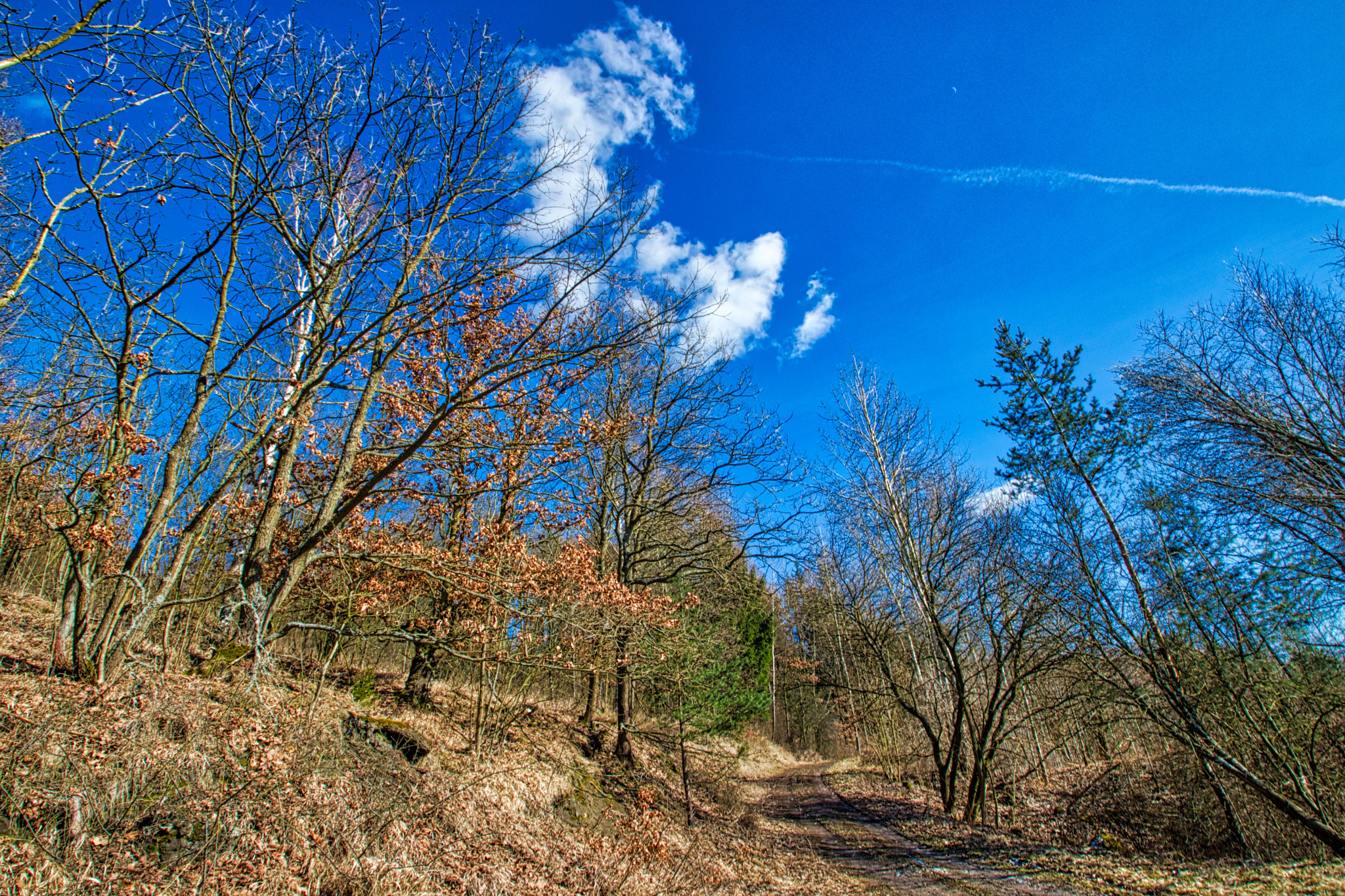 Canon EOS 77D (EOS 9000D / EOS 770D) + Canon EF 11-24mm F4L USM sample photo. Natx101 photography